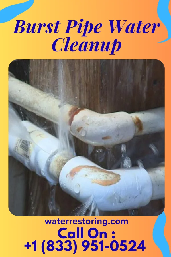 Burst Pipe Water Cleanup in Three Rivers, TX