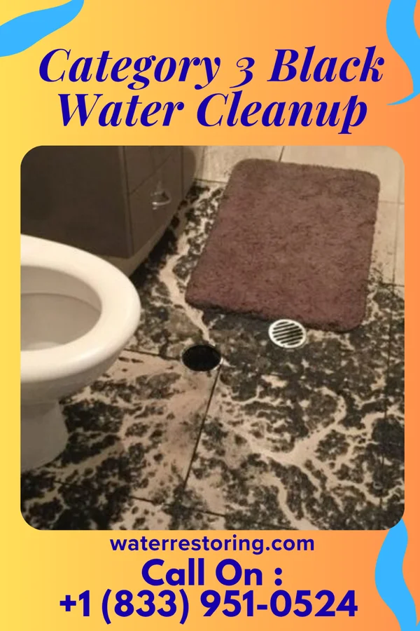 Category 3 Black Water Cleanup in Three Rivers, TX