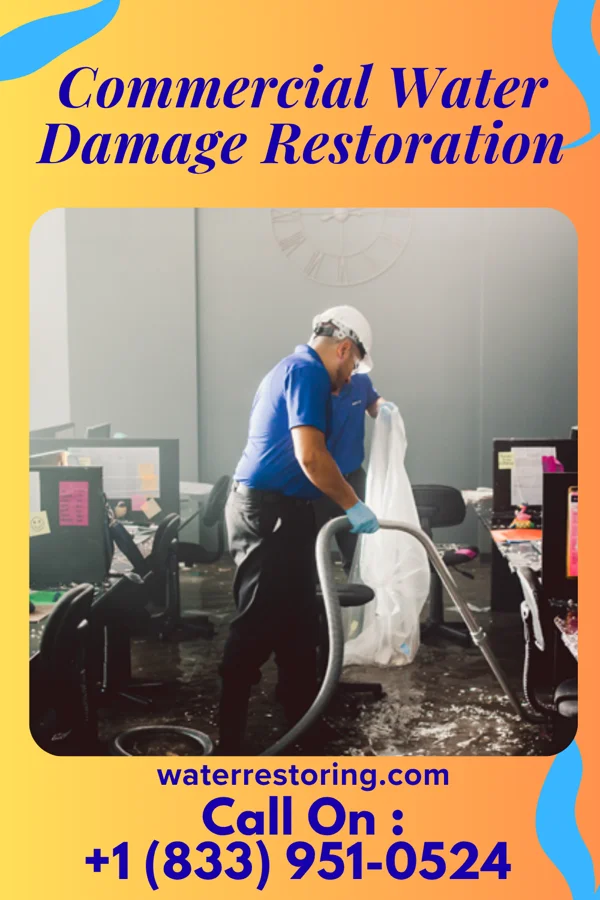 Commercial Water Damage Restoration in Three Rivers, TX
