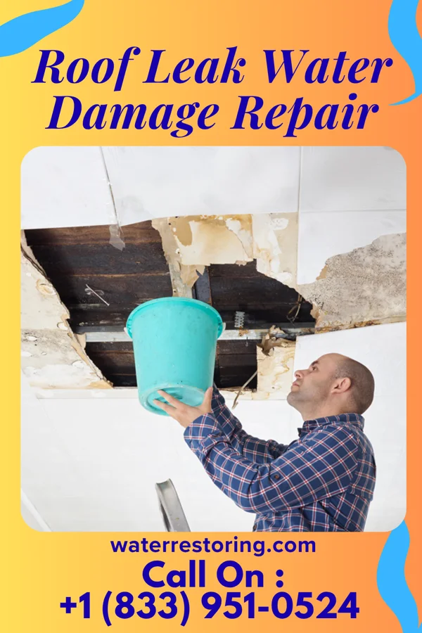 Roof Leak Water Damage Repair in Three Rivers, TX