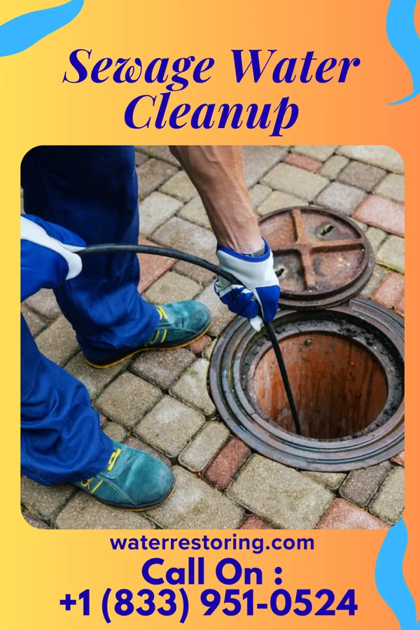 Sewage Water Cleanup in Three Rivers, TX